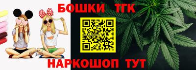 индика Обь